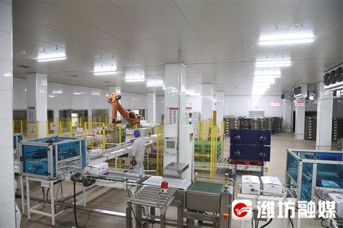 濰觀 濰坊設施農業(yè)發(fā)展 高分卷 詳解