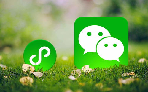 定制開發(fā)一套小程序商城要多少錢