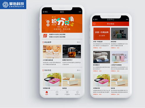 2021年如何開發(fā)定制商城系統(tǒng)